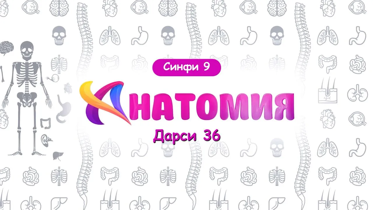 36 Мубодилаи моддахои органикӣ