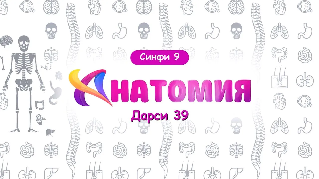 39 Мубодилаи неру ва гигиенаи хӯрок