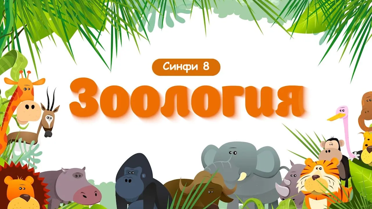 41 Ширхурони бахри