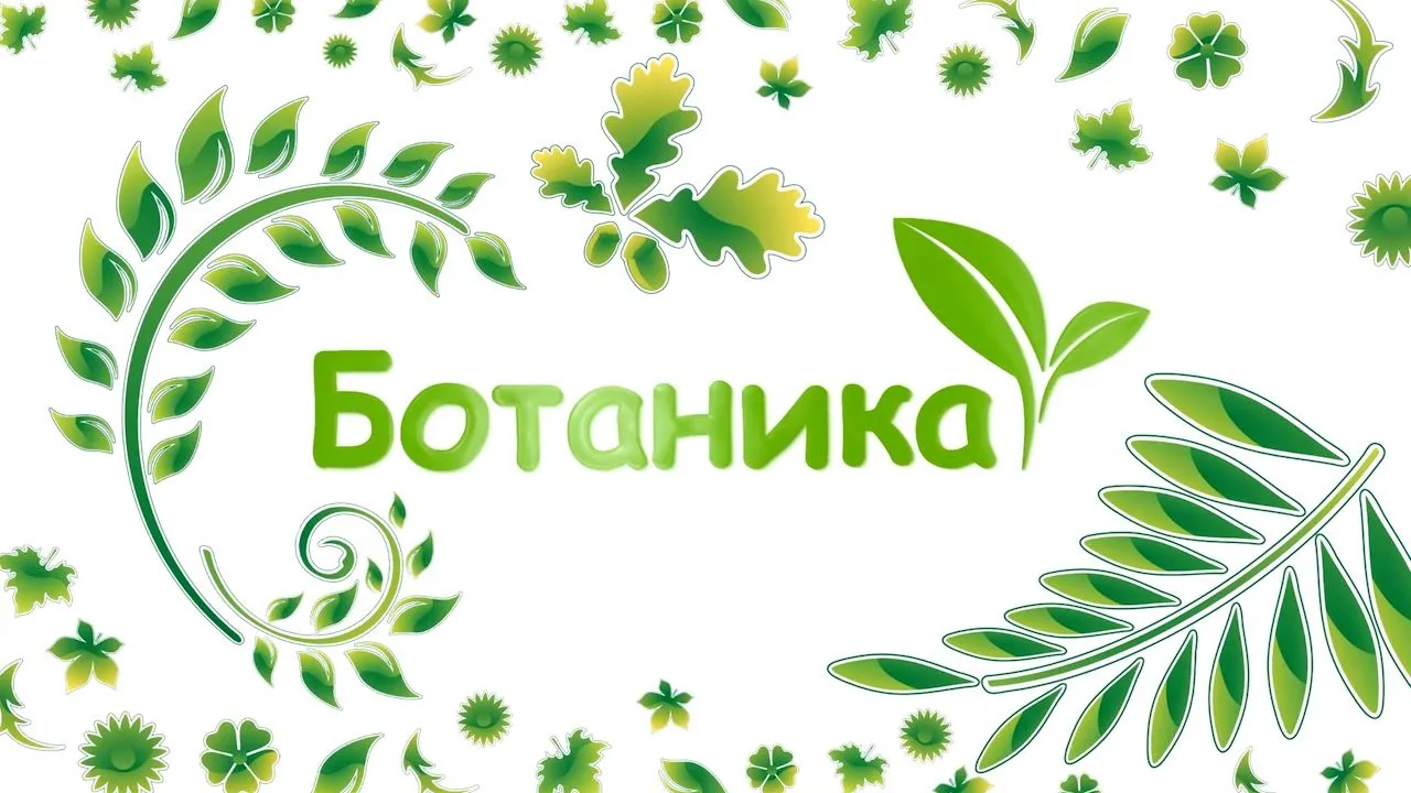 44 Сабзиши растаниҳо. Танзими сабзиш. Нуқтаи сабзиш. Моддаҳои зарурӣ барои сабзиш с5