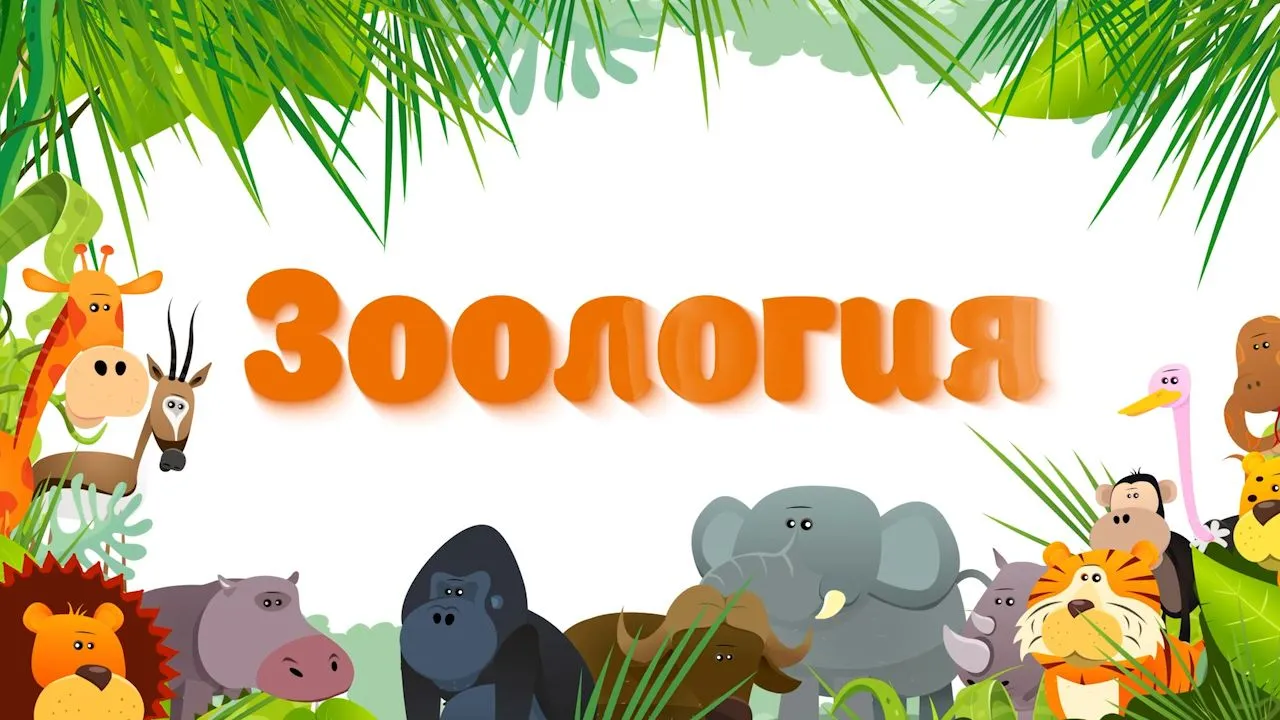 36 Катори хояндагон