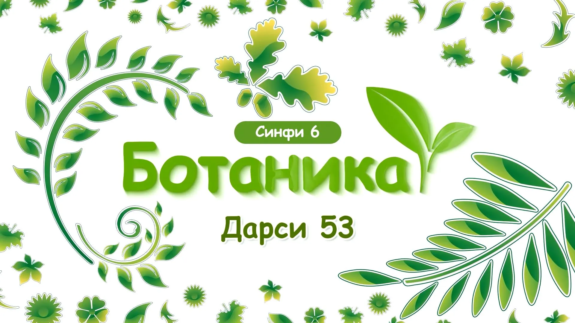 53 Занбуруги хамиртуруш ва ахамияти хочагии он